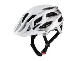 Alpina Garbanzo MTB-Helm | White-grey