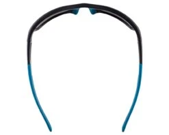 Alpina Testido Sportbrille | Black-blue Matt -Specialized Verkäufe alpina testido sportbrille black blue matt 004 85842 2200x1760 1280x1280